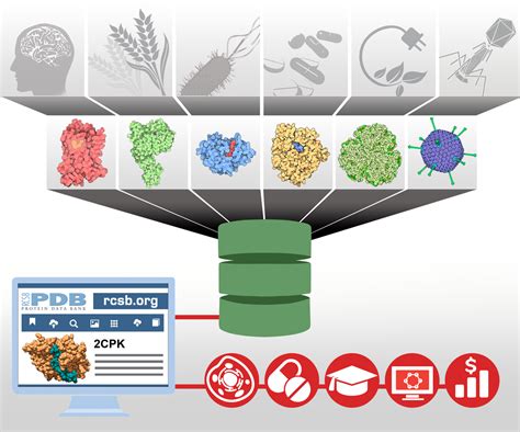 RCSB PDB .